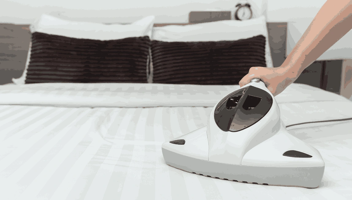 Professional Mattress Cleaning North Shore